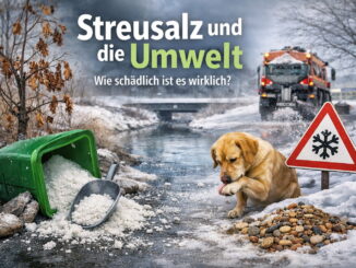 Streusalz sorgt für sichere Straßen, belastet aber Umwelt, Tiere und Pflanzen. Erfahre, wie schädlich Streusalz wirklich ist und welche Alternativen es gibt.